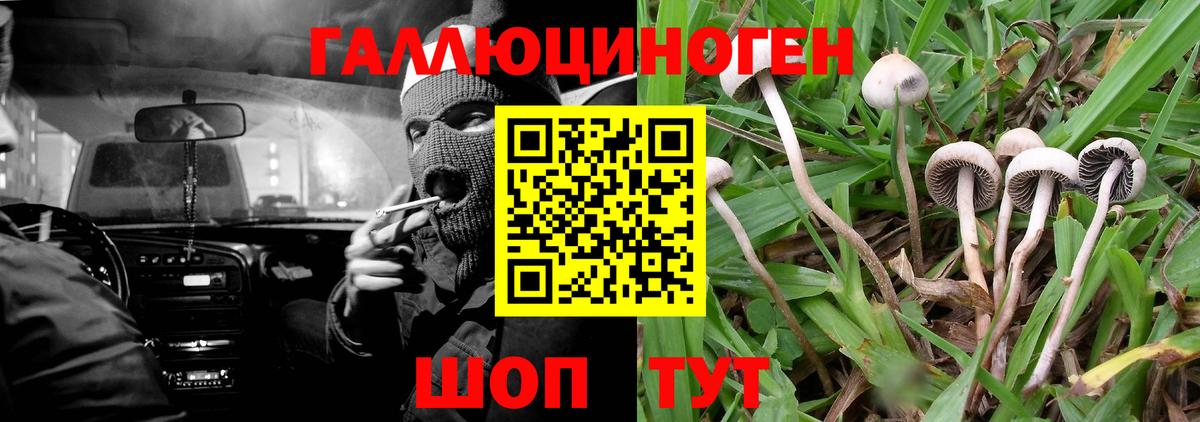 Псилоцибиновые грибы Psilocybine cubensis  Вход с VPN  наркотики  Нижний Тагил 