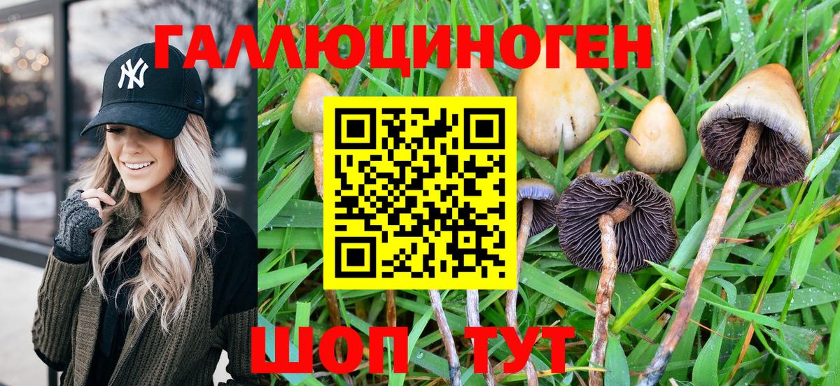 Псилоцибиновые грибы MAGIC MUSHROOMS Нижний Тагил